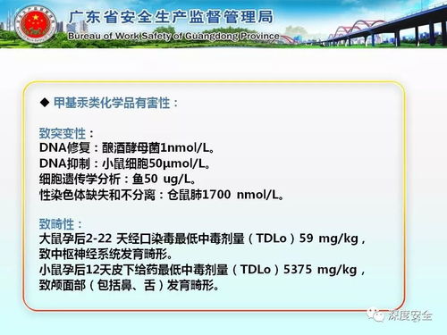 工貿企業危險化學品安全管理實務指南